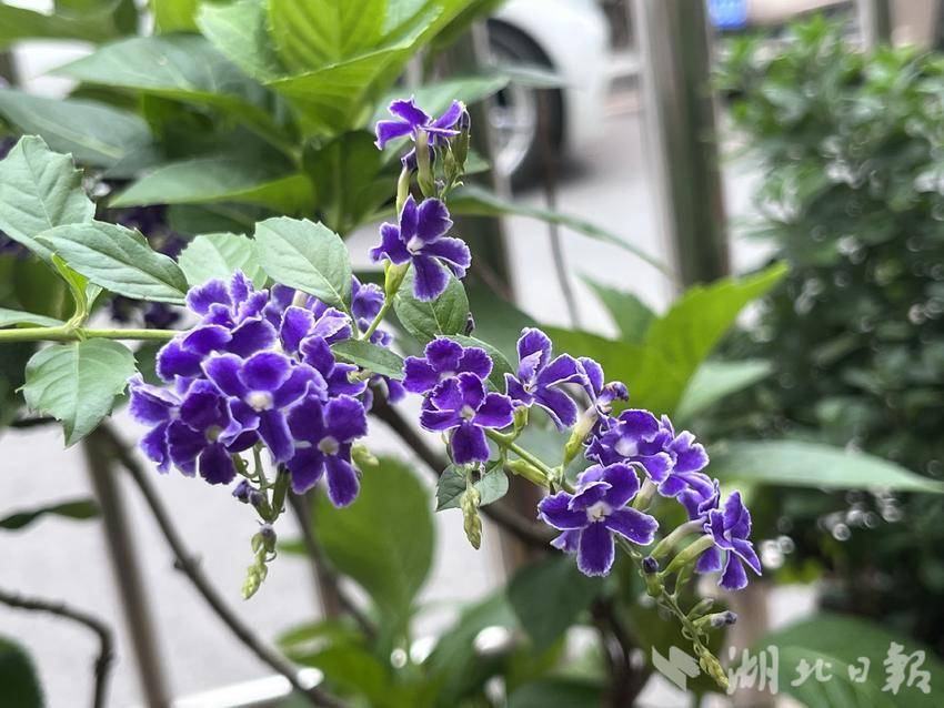 捕鱼游戏免费不用下载